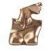 smosape Musk Amber Fragrance - Warm & Inviting Scent, 30ml Eau de Parfum, Classic Amber & Musk for Women & Men